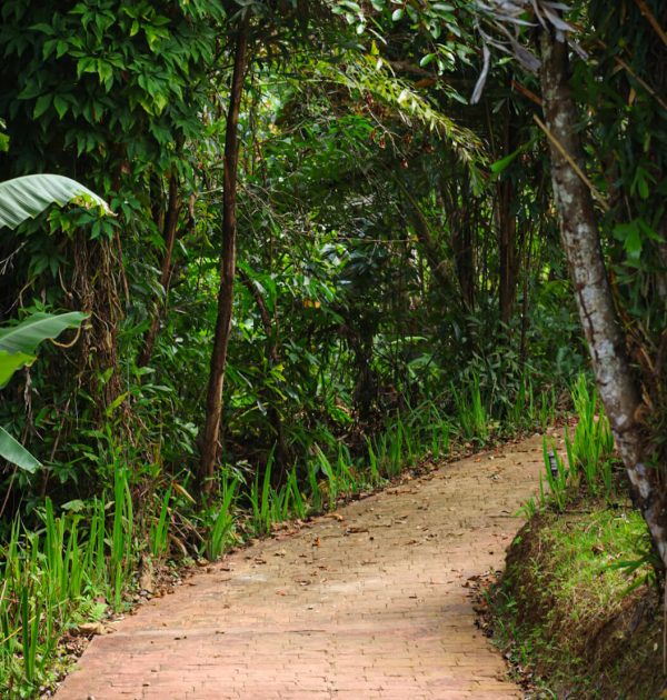 Hiking Paths