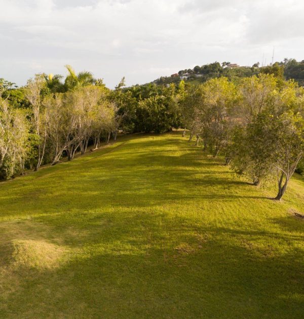 North Garden