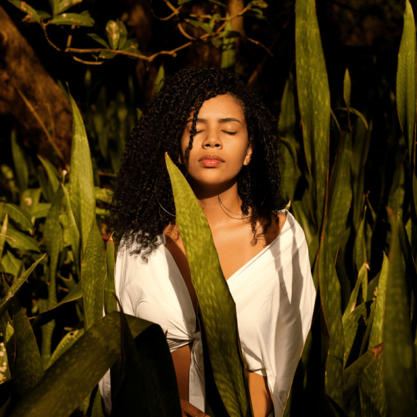 Tropical Grounds