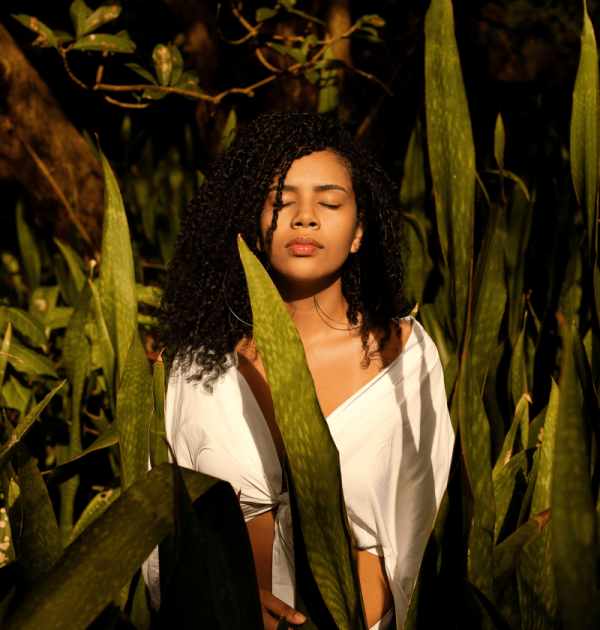Tropical Grounds
